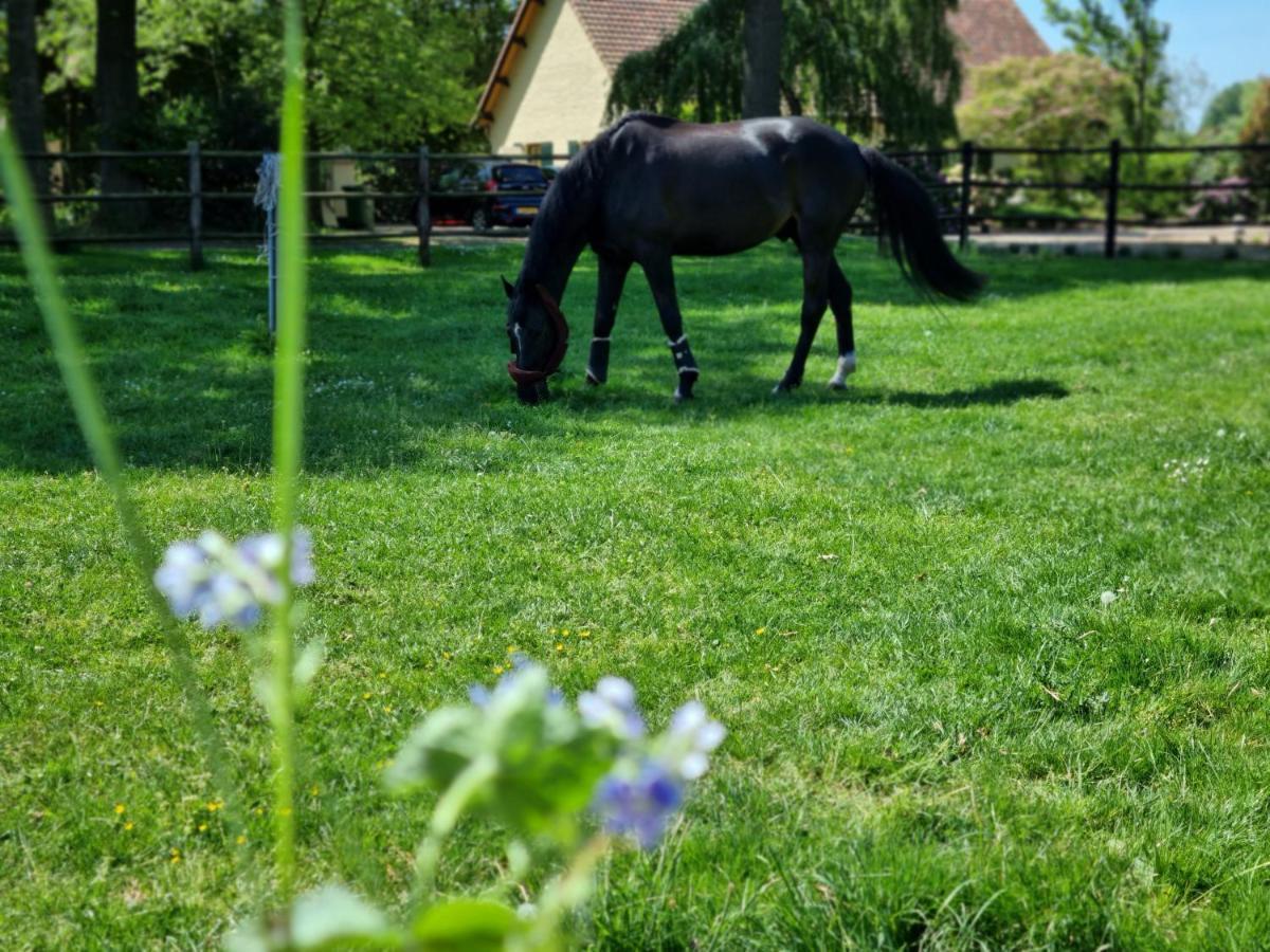 Vakantiewoning Schouwenberg Swalmen Eksteriør bilde